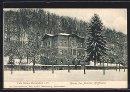 AK Blankenburg I. Th., Villa Harms Im Winter  - Bad Blankenburg