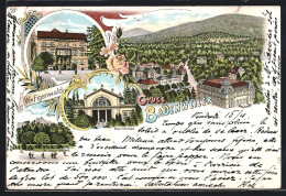 Lithographie Badenweiler, Hotel Elsässer Hof, Ruine, Marmorbad  - Badenweiler