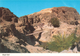 ISRAEL - Judean Desert - Wadi Kelt - Photgraphed During A Mezokei Dragott Trip - Animé - Carte Postale - Israele
