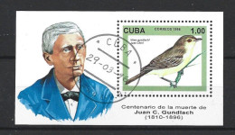 Cuba 1996 Birds S/S Y.T. BF 146 (0) - Blocchi & Foglietti