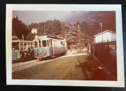 Photo Kodak Couleur Snapshot Circa 1950 Tramway Suisse Publicité Lugano - Lugano
