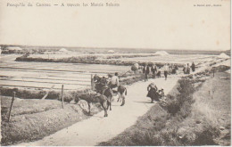 Cpa Le Croisic Les ânes à Travers Les Marais Salants - Le Croisic