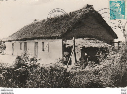 V6-85) AU PAYS DE MONTS - VIEILLE BOURINE  - ( OBLITERATION DE 1951 SAINT JEAN DE MONTS - 2 SCANS ) - Autres & Non Classés