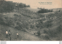 47) LA PRUNE EN AGEANIS - UNE PLANTATION DE PRUNIERS - (AGRICULTURE - EDITEUR A.CAVAILLE - LAROQUE TIMBAUT - 2 SCANS ) - Laroque Timbault
