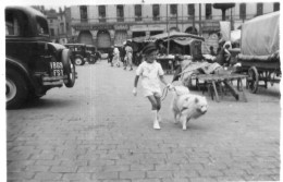 Photographie Photo Vintage Snapshot Toulouse Place Du Capitole Chien Enfant - Lieux