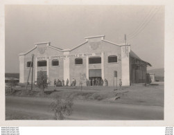 RENAN (PHOTO MORIS , ORAN)  SOCIETE DE COOPERATION VINICOLE DE RENAN - 1933  - ANIMATION - 2 SCANS )  - Oran