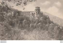 V22- HEIDELBERG - DAS  SCHLOSS V. D. TERRASSE GESEHEN -  ( 2 SCANS )  - Heidelberg