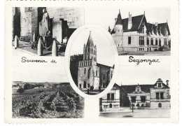 (16) SEGONZAC Souvenir Monuent Aux Morts Chalet Frapin Hotel De Ville  Oblitéré En 1958 (Charente) - Autres & Non Classés