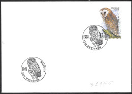 Belgio/Belgium/Belgique: Barbagianni, Barn Owl, Chouette Effraie, (Tyto Alba) - Owls