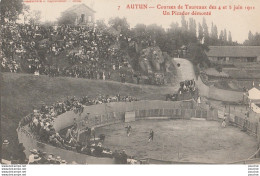 V24-71) AUTUN - COURSES DE TAUREAUX  DES 4 ET 5 JUIN 1911 - UN PICADOR DEMONTE - 2 SCANS ) - Autun