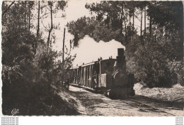 V32-17) LE BUREAU - SAINT PALAIS (CHARENTE MARITIME) LE TRAIN EN FORET - ( 2 SCANS ) - Saint-Palais-sur-Mer