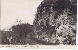 INDRE Et LOIRE - COURCAY - Chemin De La Doué - LL N° 19 - Autres & Non Classés