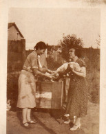 Photographie Photo Vintage Snapshot Femme Poule Juvisy Hen Chicken - Autres & Non Classés