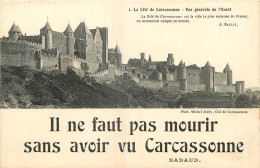 11 - CITE DE  CARCASSONNE - VUE GENERALE DE L'OUEST - Carcassonne