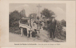 Cpa Souvenir Du Pardon De St Corneille  Les Boeufs Du Défilé - Altri & Non Classificati