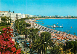 France Cannes Beach Croisette - Cannes