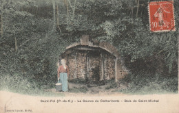 St. POL Sur TERNOISE : La Source De Catherinette - Bois De St. Michel. ( Carte Colorisée.) - Saint Pol Sur Ternoise
