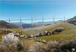 12 -  MILLAU - LE VIADUC - Millau