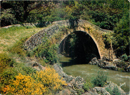 12 - VILLEFRANCHE DE ROUERGUE -  LE PONT DE CAYLA - Villefranche De Rouergue