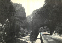 11 - LES GORGES DE L'AUDE - DEFILE DE PIERRE LYS - Andere & Zonder Classificatie