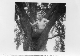Photographie Anonyme Vintage Snapshot Homme Arbre Tree Man Marcel - Personnes Anonymes
