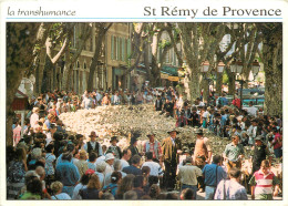 13 - SAINT REMY DE PROVENCE - Saint-Remy-de-Provence