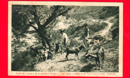 ITALIA - Umbria - Fonti Del Clitunno (Perugia) - Ai Pié De I Monti E De Le Querce - Carducci - Cartolina Viaggiata 1928 - Sonstige & Ohne Zuordnung