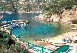 13 MARSEILLE Calanque De Sormiou - Zonder Classificatie