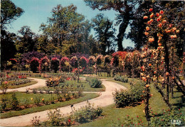 13 MARSEILLE Parc Borely - Zonder Classificatie