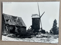 STASEGEM (Harelbeke) - Koutermolen - 14,5 X 10,5 Cm. (REPRO PHOTO !) - Places