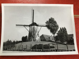 Witte Molen Sint Niklaas Foto Jaren 60 7 Op 9 Cm - Lieux