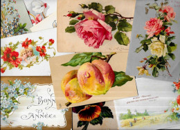 Lot 1308 De 10 CPA Fleurs Dont KLEIN + Fruits Déstockage Pour Revendeurs Ou Collectionneurs - 5 - 99 Postcards