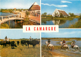 13 - EN CAMARGUE - Andere & Zonder Classificatie