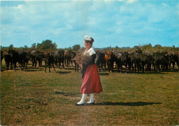 13 - EN CAMARGUE - Sonstige & Ohne Zuordnung