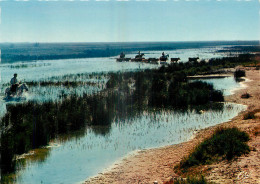 13 - EN CAMARGUE - Autres & Non Classés