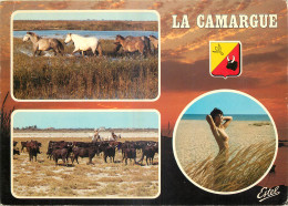 13 - EN CAMARGUE - MULTIVUES - Other & Unclassified