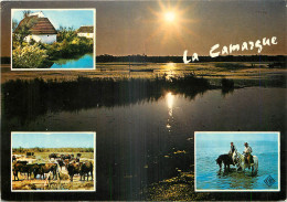 13 - EN CAMARGUE - MULTIVUES - Other & Unclassified