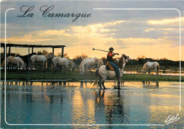 13 - EN CAMARGUE - Sonstige & Ohne Zuordnung