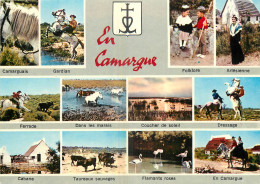 13 - EN CAMARGUE - MULTIVUES - Sonstige & Ohne Zuordnung