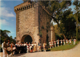 13 - FOLKLORE DE PROVENCE - PELISSANNE - Sonstige & Ohne Zuordnung