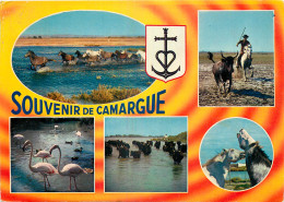 13 - LA CAMARGUE - MULTIVUES - Other & Unclassified