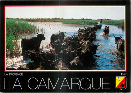 13 - LA CAMARGUE - Other & Unclassified
