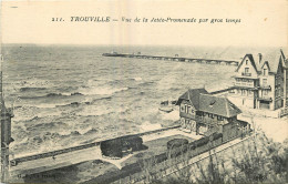  14 - TROUVILLE-SUR-MER - Trouville