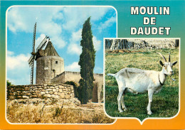 13 FONTVIEILLE Moulin De Daudet - Fontvieille