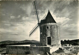 13 FONTVIEILLE Moulin De Daudet - Fontvieille