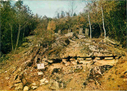 62 - Eperlecques - Le Blockhaus - Souvenir Des Jeunes Déportés Belges - CPM - Voir Scans Recto-Verso - Other & Unclassified