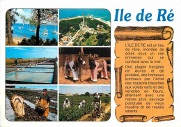 17 - Ile De Ré - Multivues - Anes En Culotte De L'ile De Ré - CPM - Voir Scans Recto-Verso - Ile De Ré