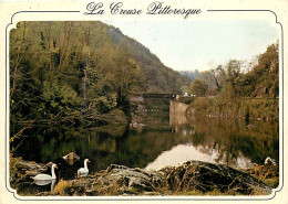 36 - Gargilesse - La Creuse Au Pont Noir - Cygnes - CPM - Voir Scans Recto-Verso - Autres & Non Classés