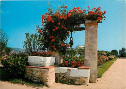 06 - Nice - Puits Fleuri Dans Les Jardins Du Monastère De Cimiez - Fleurs - CPM - Carte Neuve - Voir Scans Recto-Verso - Parken En Tuinen