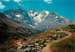 05 - Hautes Alpes - Jardin Alpin - Fleurs - Flamme Postale De Vallouise - CPM - Voir Scans Recto-Verso - Altri & Non Classificati